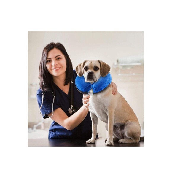 Recovery Suit For Dogs - Picture 6 of 8